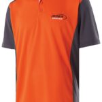 DIVISION POLO