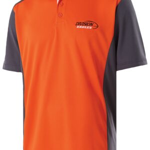 DIVISION POLO