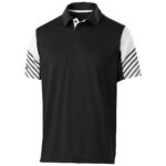 ARC POLO