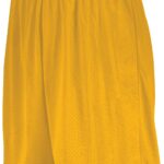 7-Inch Modified Mesh Shorts